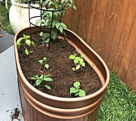 18 adorable container garden ideas to copy this spring, Aged Copper Container