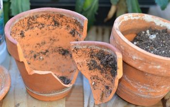 18 Adorable Container Garden Ideas To Copy This Spring