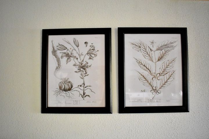 diy framed botanical prints with free printables
