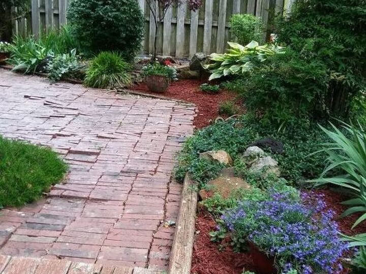 q suggestions what to cover tree roots but still have a walkway w bricks
