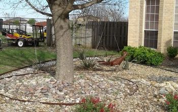 Shaded Front Yard Fix