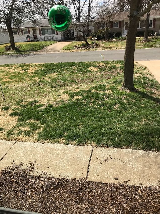 q we ve had several lawn treatment co work on our front yard no help