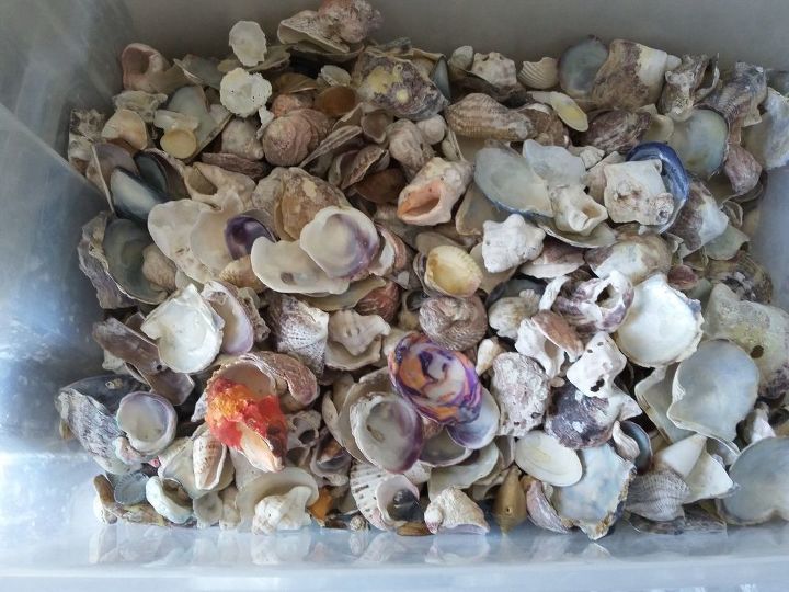 sea shells mosaic apply technique