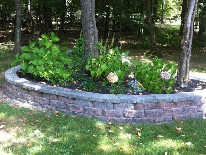 q trouble getting shrubbery to grow in raised beds any suggestions