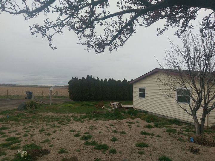 q how do i create a relaxing space on the south side