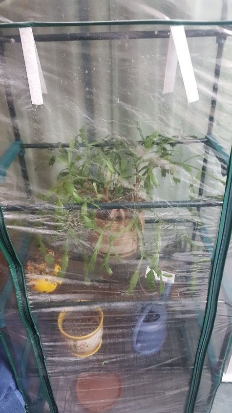 q enclosed window greenhouse