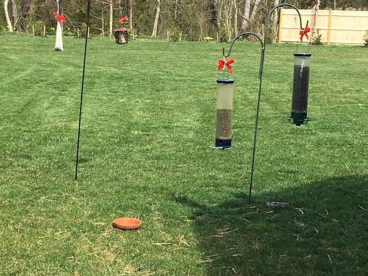 q i have several bird feeders stuck in the ground outside of my kitchen