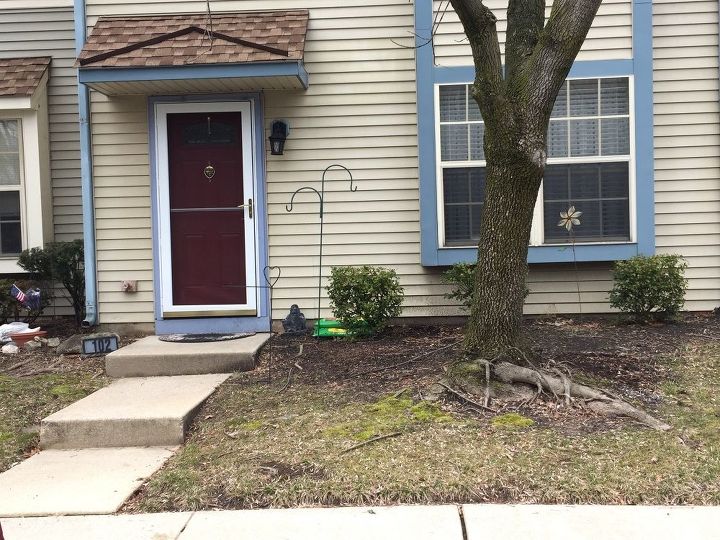 q i have a large tree with surface roots all over how can i make
