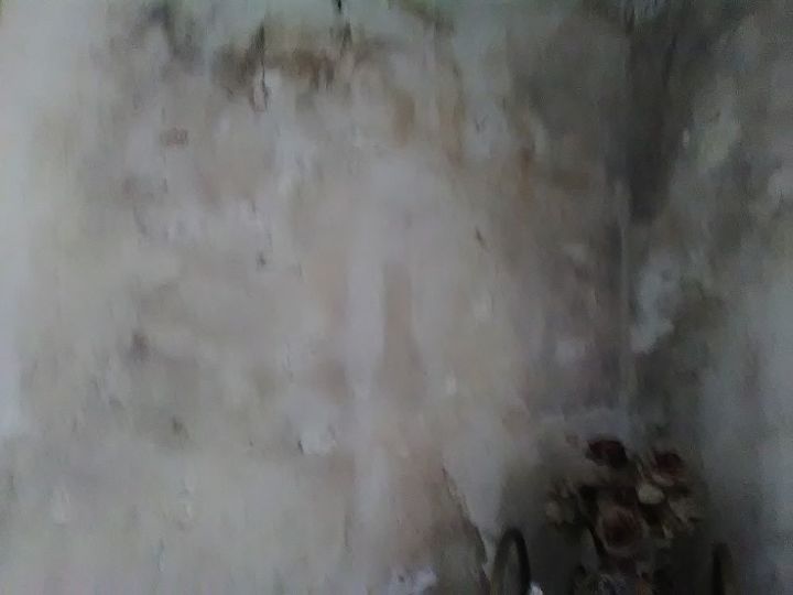 q what can i do these walls after mold killed my walls