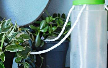 How to Water Your Plants While on Vacation