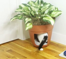 how to hide a litter box
