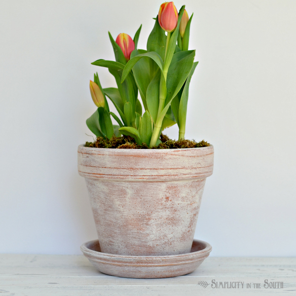 22 ideas to make your terra cotta pots look oh so pretty, Age it with wax and chalk paint