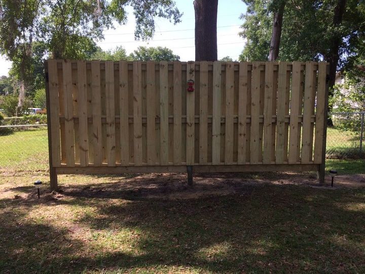 q have a fence that needs some love plants ect what do you suggest