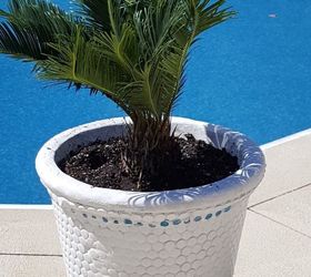 Planter Pots Make Over for Spring!