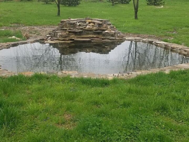q what plants flowers zone6 koi pond morning sun would you recommend
