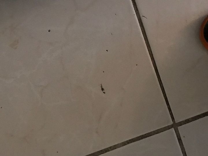 q how can i fix floor tile that has small chips