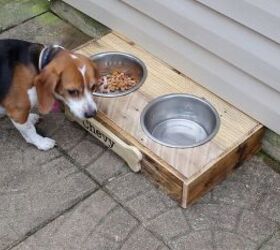 pallet board dog feeder