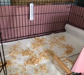 Baby Chick Brooder Repurposed Dog Crate Hometalk