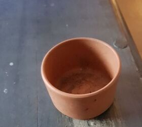 q pot size half of a mug terra cotta pots