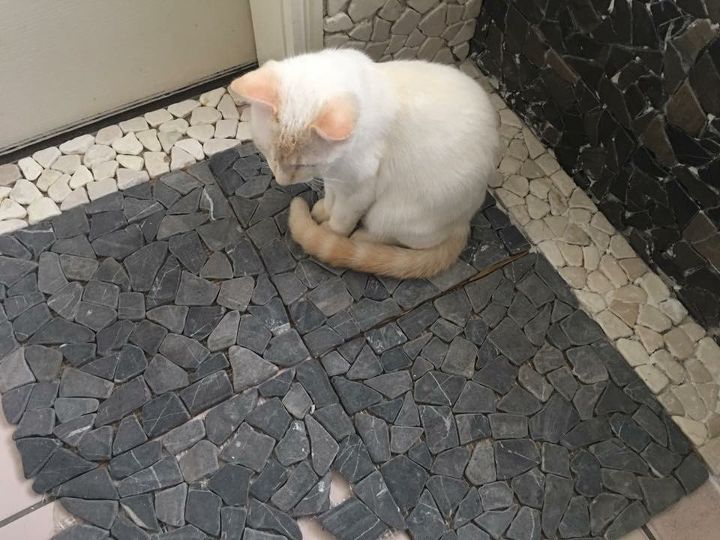 stone pebble tiles on top of old tiles