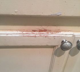 how to remedy paint wearing off my kitchen cabinets