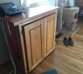 Easy Entry Way Shoe Cabinet