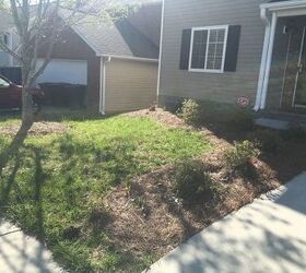 q first time home owner front yard update