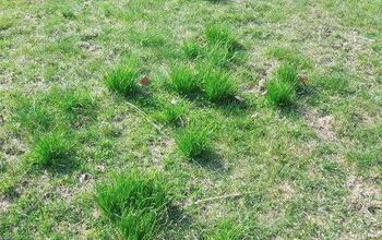  Como melhorar seu gramado