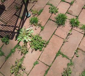 a natural method for killing weeds, Weeds on my patio Looks so bad