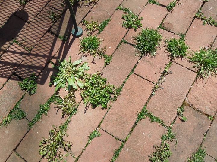 a natural method for killing weeds, Weeds on my patio Looks so bad