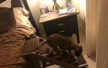 Puppy Love: Rampa para perros DIY para el dormitorio!