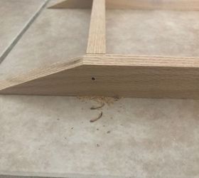 puppy love diy dog ramp for bedroom, 70 degree angle for the floor