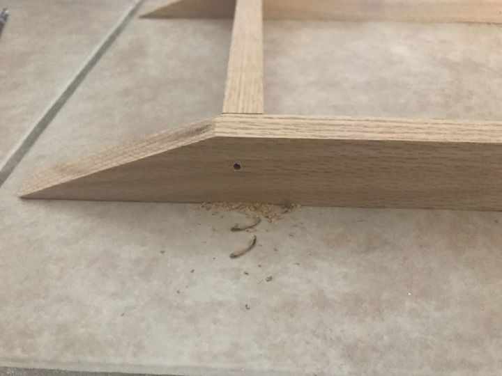 puppy love diy dog ramp for bedroom, 70 degree angle for the floor