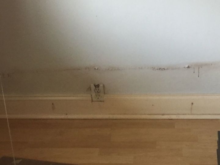 q help bleeding wall