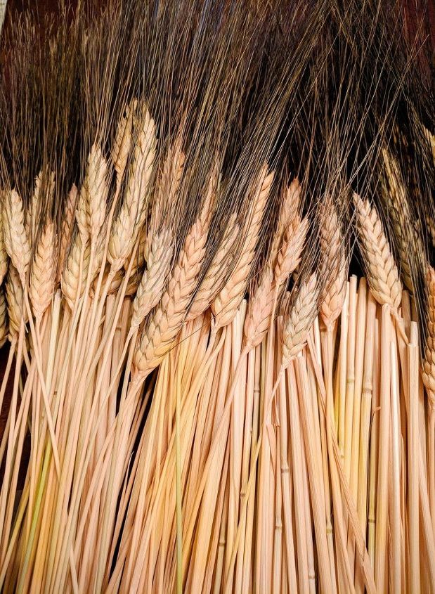 pacote colheita de trigo wayfair hack diy decorao de casa