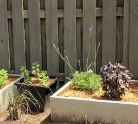 build two raised herb gardens for less than 50, Raised Bed Herb Gardens
