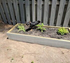 build two raised herb gardens for less than 50