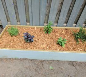 build two raised herb gardens for less than 50, One of the newly mulched beds