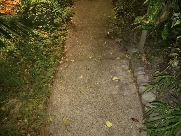 q concrete path