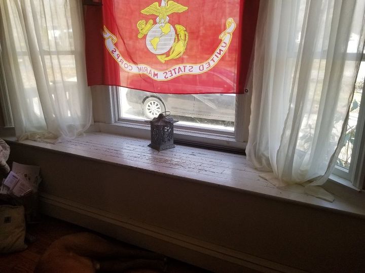 q possible window seat for my guard dog