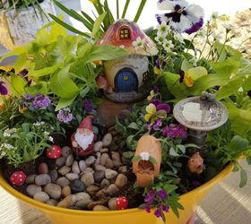 miniature gnome garden