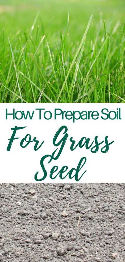 how to prepare soil for grass seed