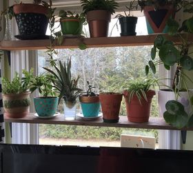 plant shelf in front of window