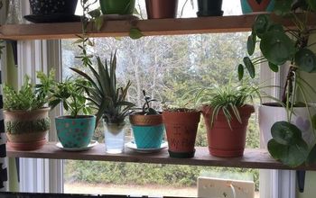 DIY Window Plant Shelf