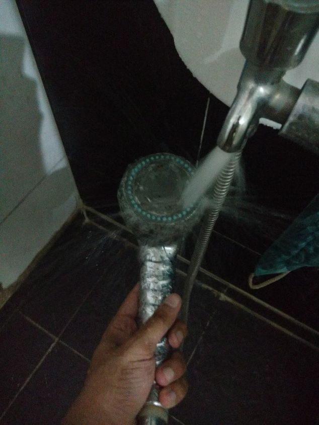 how to descale a handheld shower head