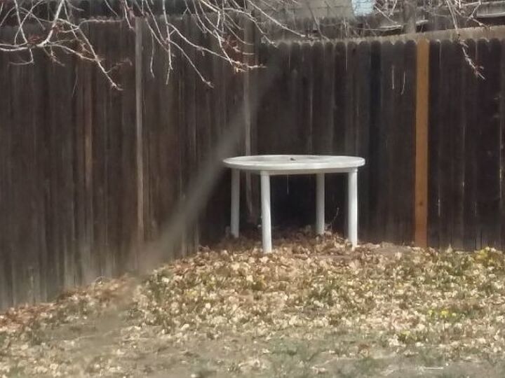 q any suggestions on how to make our corner bk yard relaxing private