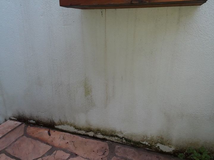 q what is the best way to get green and black mold off an outdoor wall