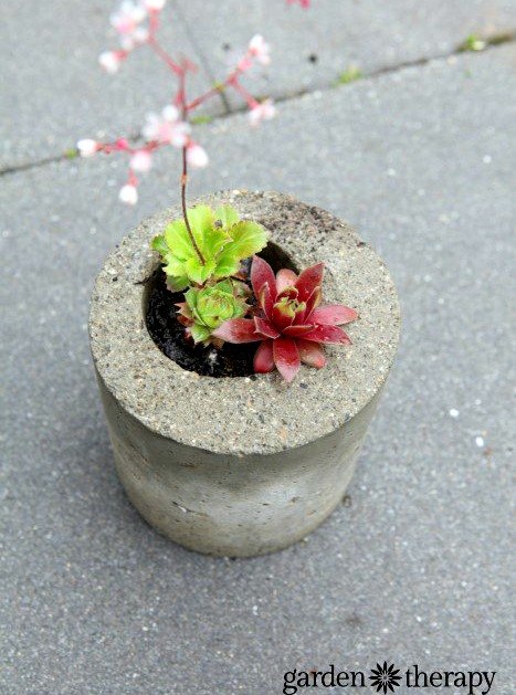 the 25 most brilliant uses people came up with for plastic containers, Turn plastic containers into planter molds