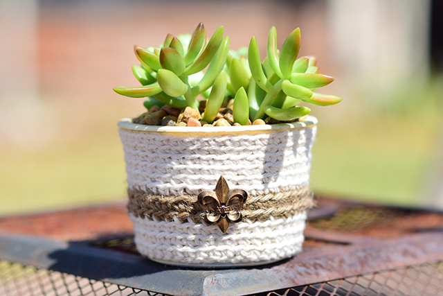 s the 15 most brilliant uses people came up with for plastic containers, Nest succulents in a cleaned cream cheese tub