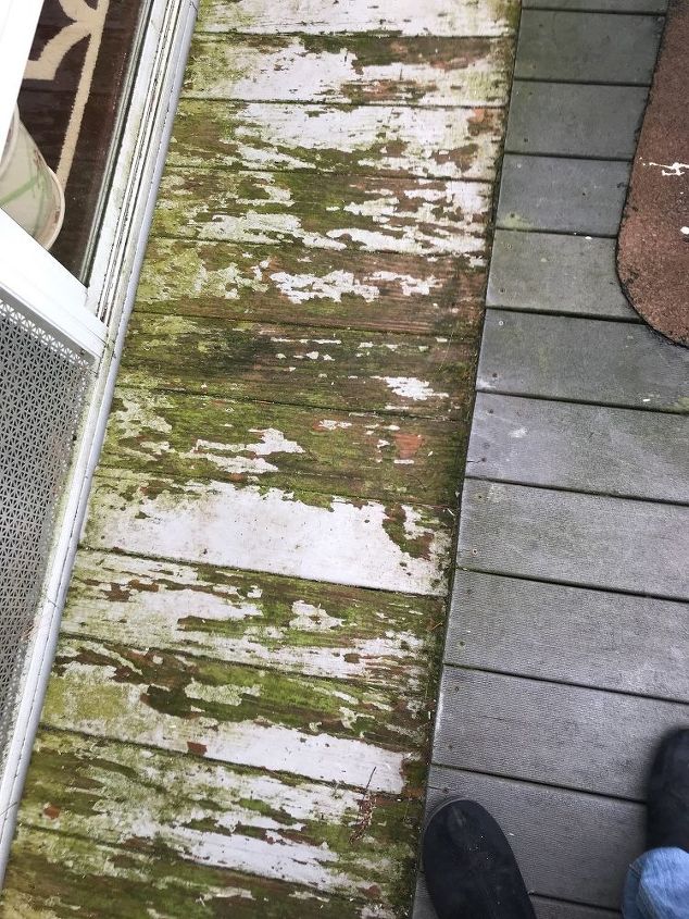 q removing green mold of deck